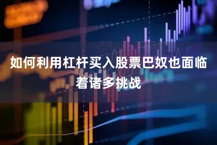 如何利用杠杆买入股票巴奴也面临着诸多挑战